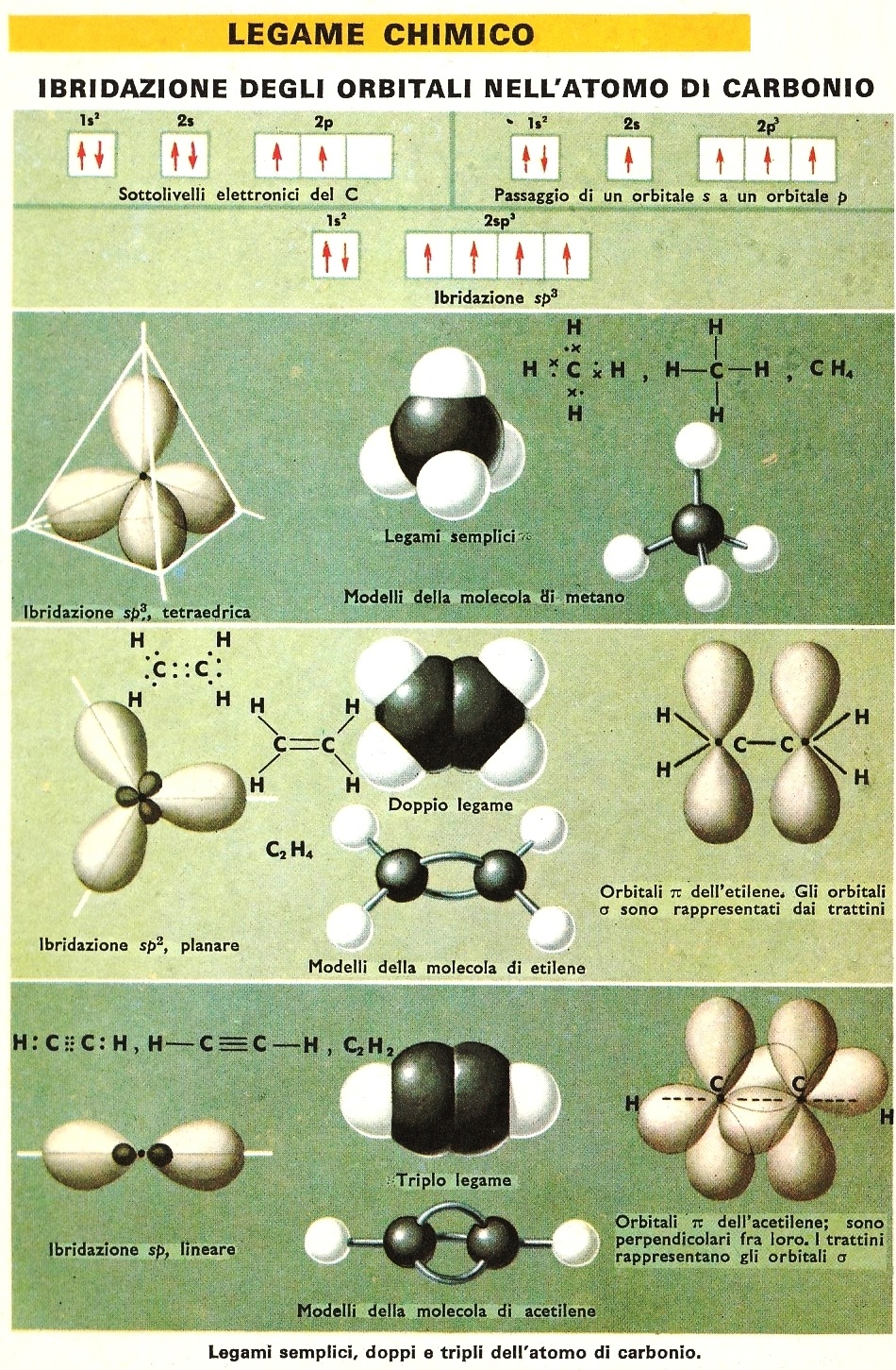 C4b