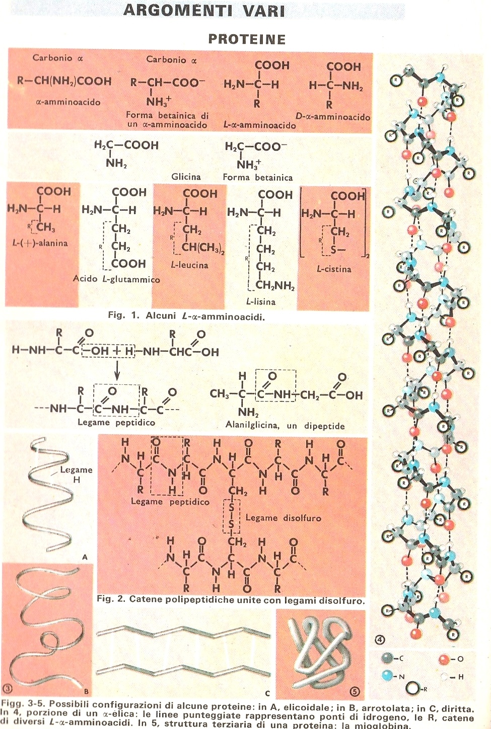 H5b